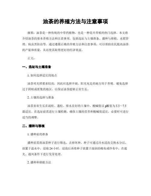 油茶的养殖方法与注意事项