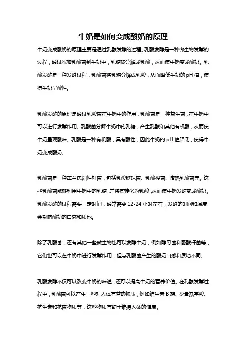 牛奶是如何变成酸奶的原理
