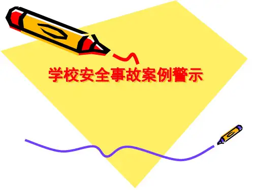 学校安全事故案例分析