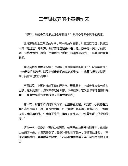 二年级我养的小黄狗作文