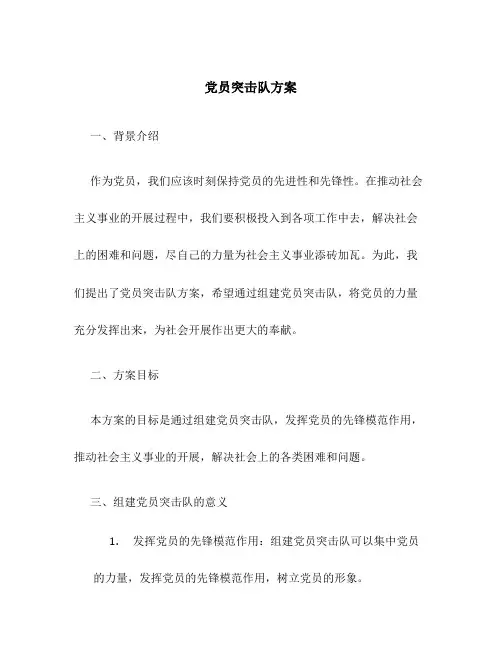 党员突击队 方案