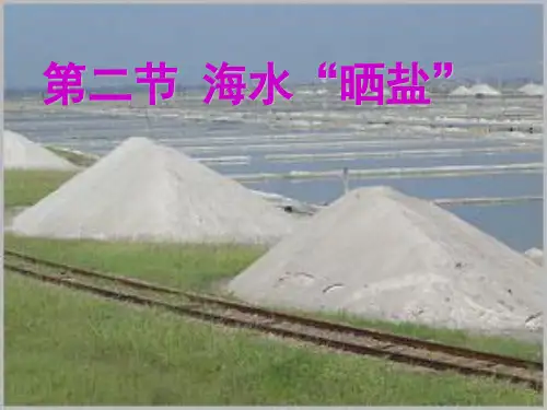 《海水“晒盐”》PPT课件(公开课)2022年鲁教版化学 (3)