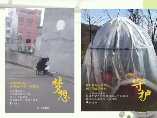 现代诗歌专题整体阅读ppt课件
