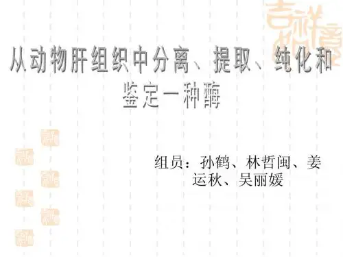 从肝脏中分离纯化一种酶