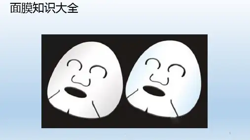 面膜知识大全---副本PPT课件