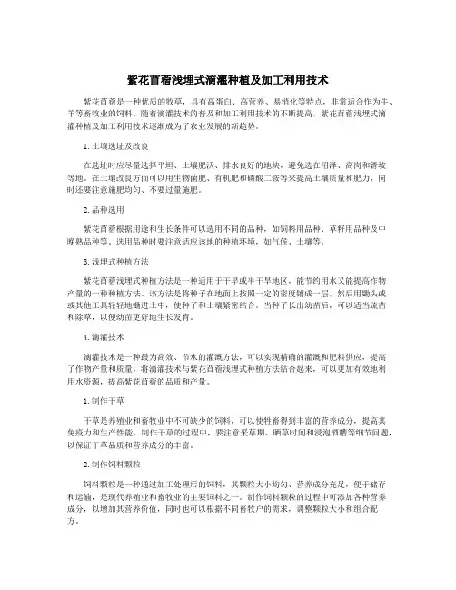 紫花苜蓿浅埋式滴灌种植及加工利用技术