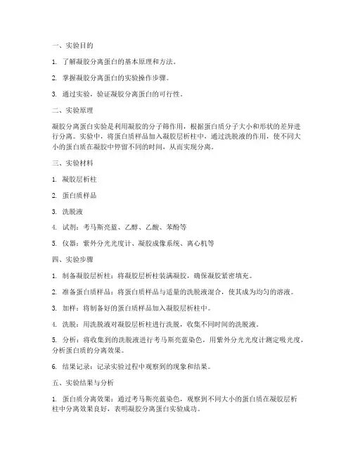 凝胶分离蛋白实验报告