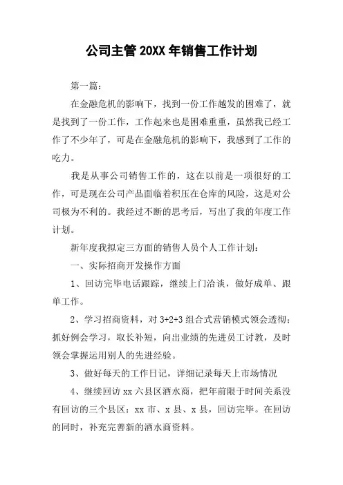 公司主管20XX年销售工作计划