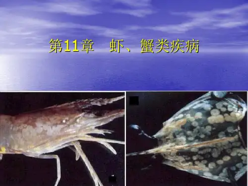 第11章 虾蟹类疾病