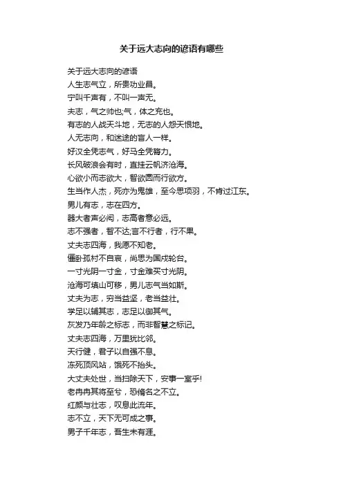 关于远大志向的谚语有哪些