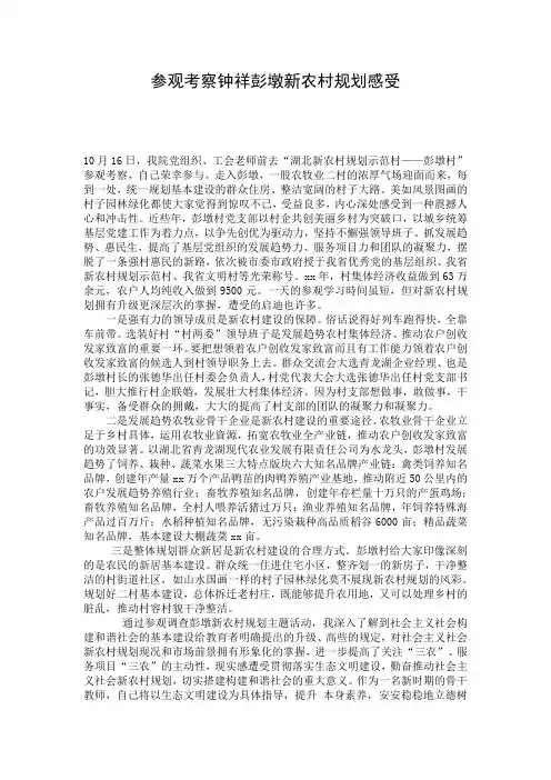 参观考察钟祥彭墩新农村规划感受