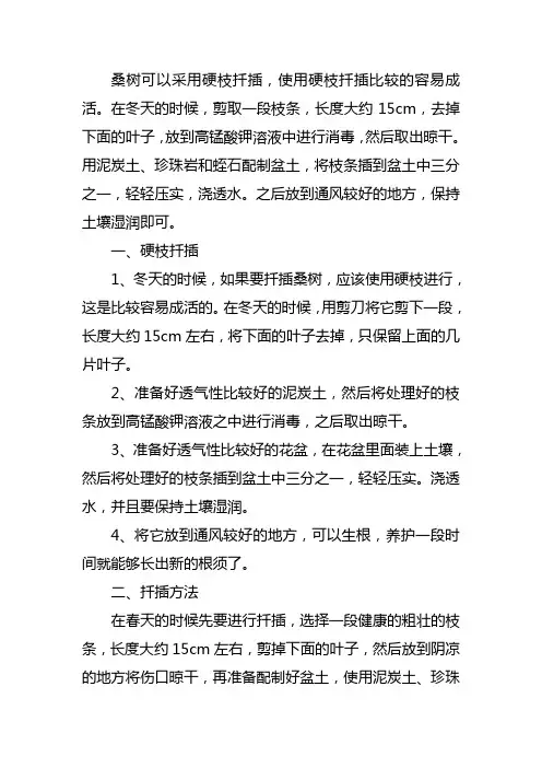 桑树简易硬枝扦插法