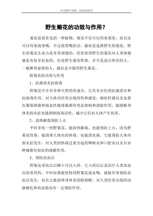 野生菊花的功效与作用？
