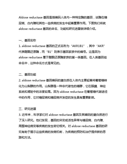 aldose reductase基因名称