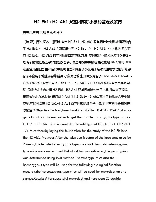 H2-Eb1+H2-Ab1双基因敲除小鼠的鉴定及繁育