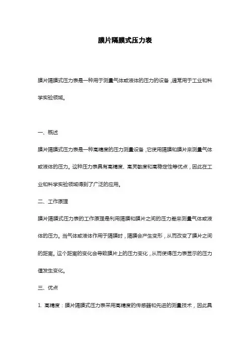 膜片隔膜式压力表