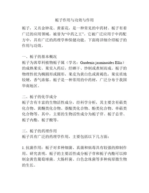 栀子作用与功效与作用