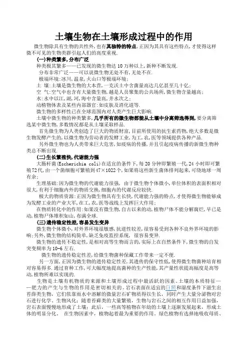 微生物与土壤