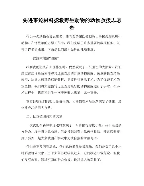先进事迹材料拯救野生动物的动物救援志愿者
