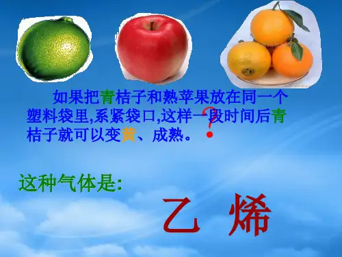 高中化学5.3乙烯烯烃第一课时课件旧人教必修2.ppt