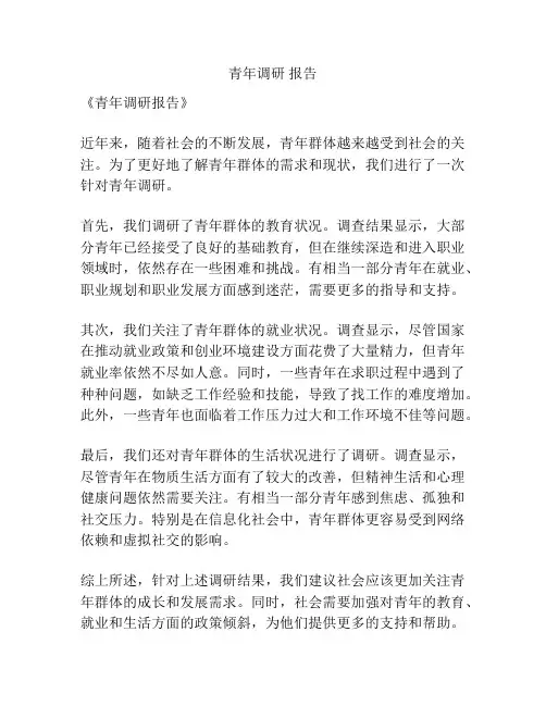 青年调研 报告