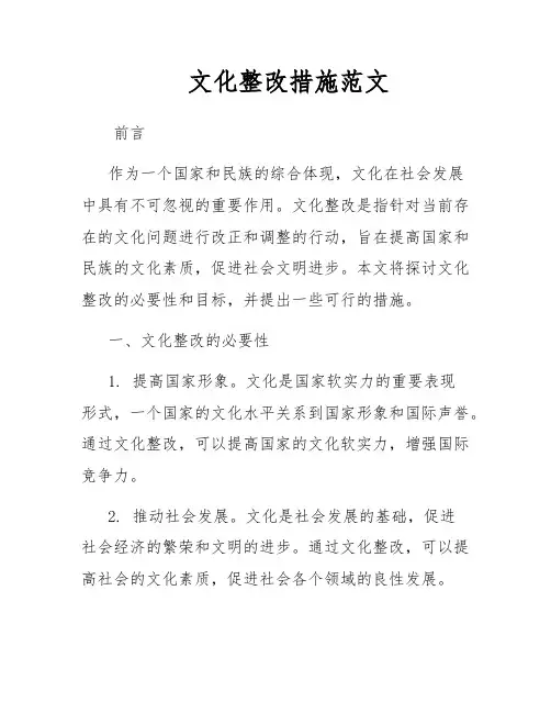 文化整改措施范文