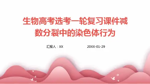 生物高考选考一轮复习课件减数分裂中的染色体行为