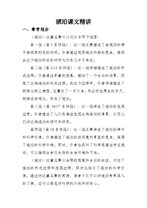 琥珀课文精讲