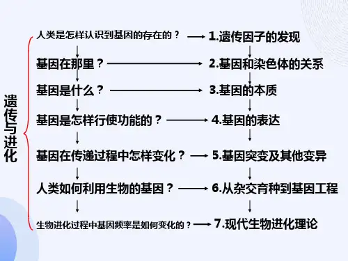 孟德尔的豌豆杂交实验