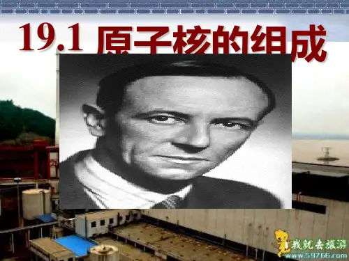 原子核