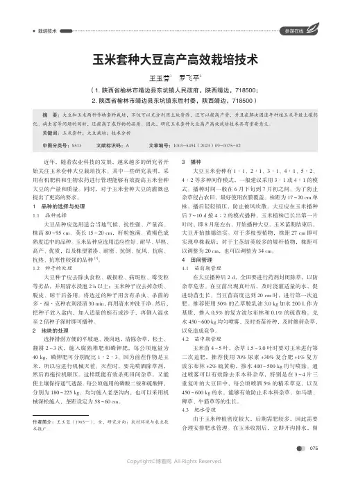 玉米套种大豆高产高效栽培技术
