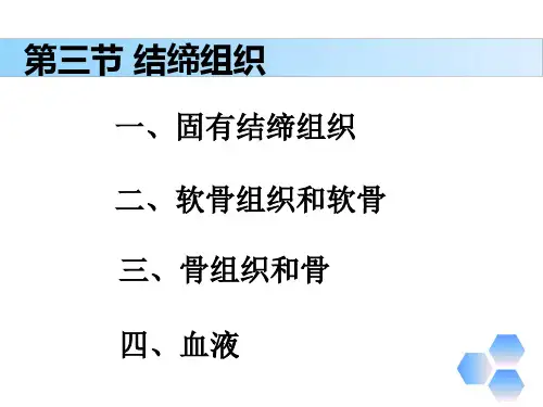解剖学基础第三章《基本组织—结缔组织》PPT课件