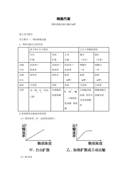 生物酶的相关知识点