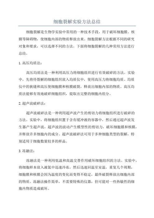 细胞裂解实验方法总结