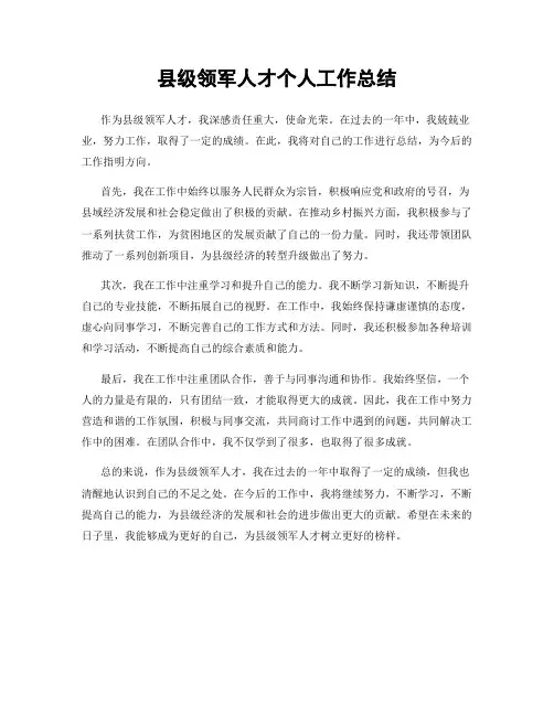 县级领军人才个人工作总结