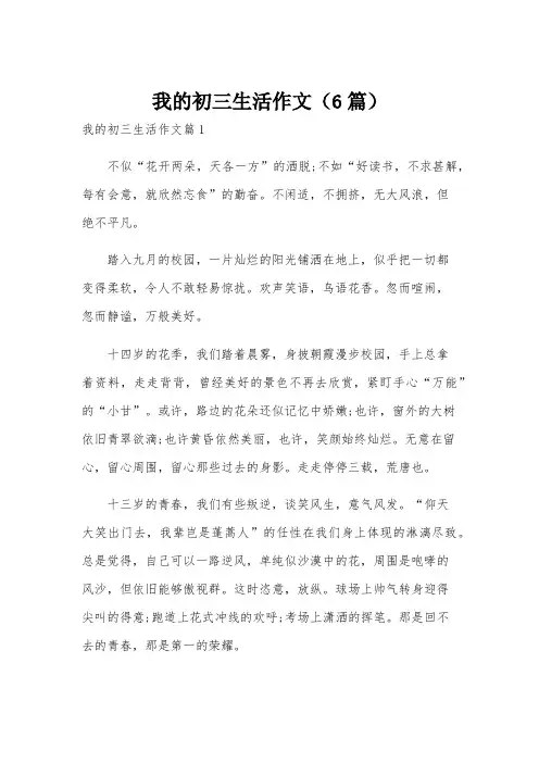 我的初三生活作文(6篇)