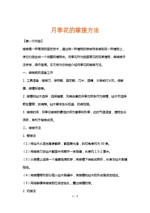 月季花的嫁接方法