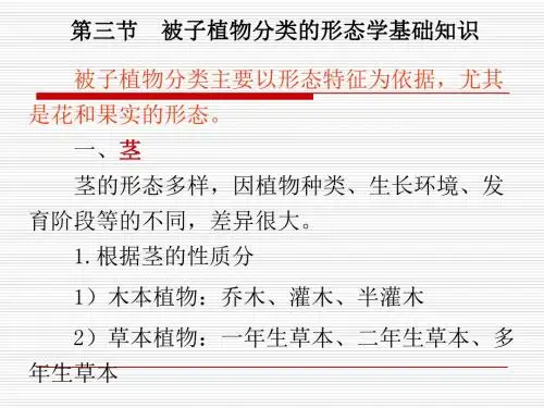 被子植物分类学基础