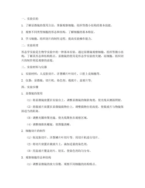 形态学实验报告