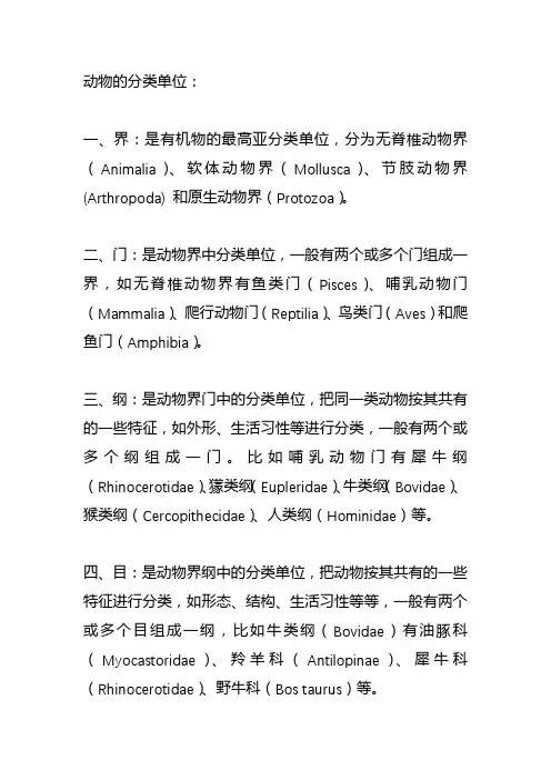 动植物的分类单位