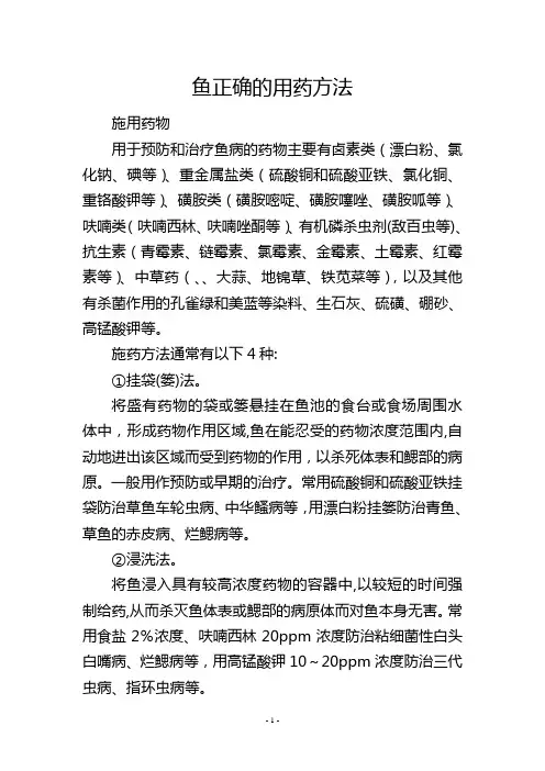 鱼正确的用药方法