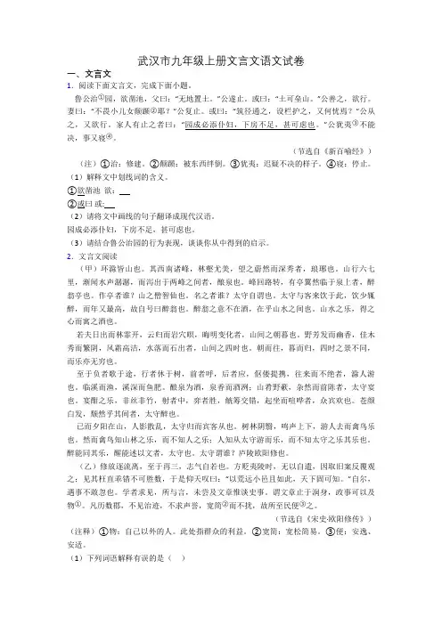 武汉市九年级上册文言文语文试卷