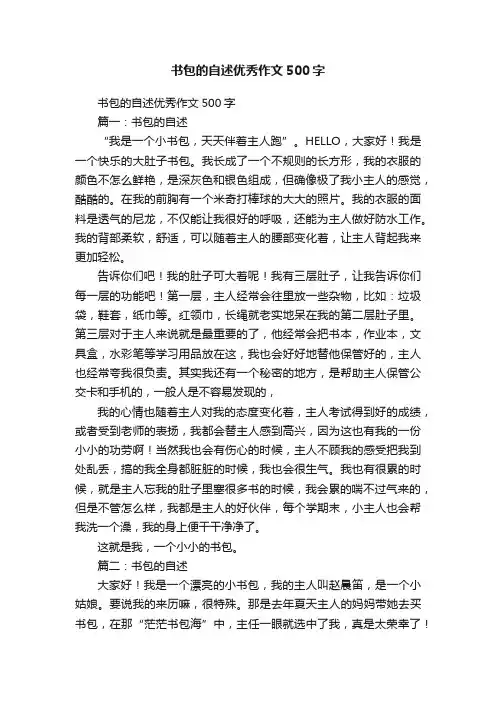 书包的自述优秀作文500字