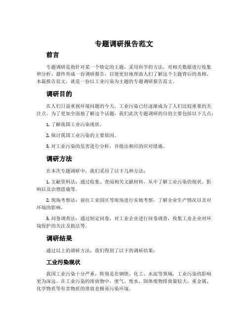 专题调研报告范文