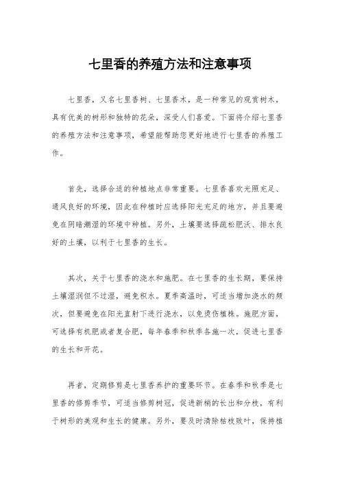 七里香的养殖方法和注意事项