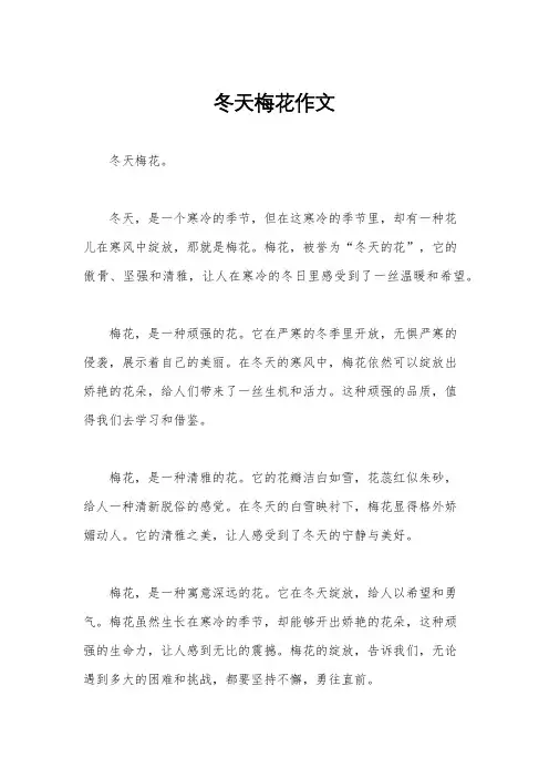 冬天梅花作文