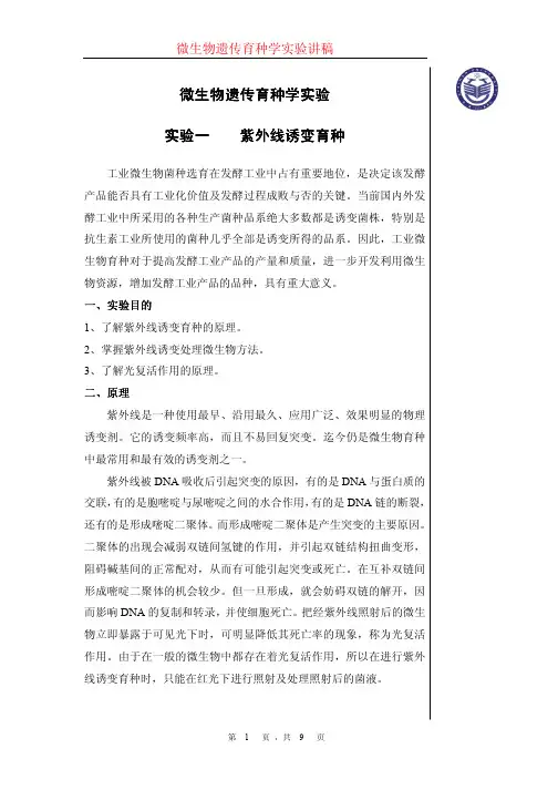 微生物遗传育种试验讲义