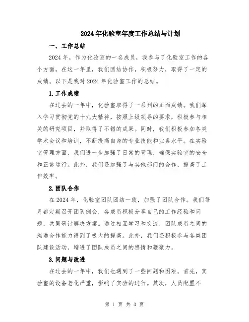 2024年化验室年度工作总结与计划