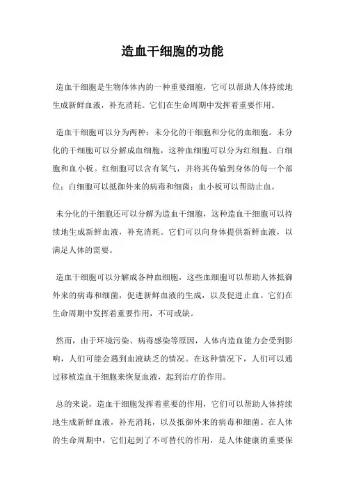 造血干细胞的功能
