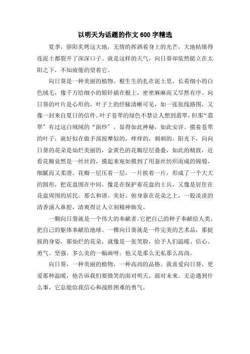 以明天为话题的作文600字精选